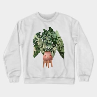 Cute Plant Illustration, Philodendron Burle Marx Variegated Crewneck Sweatshirt